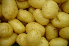 Ar tikrai viską žinome apie bulves?
