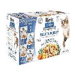 Šlapias kačių maistas Brit Care Fillets in Jelly Flavour Box, 1.020 kg, 12 vnt.