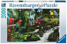 Dėlionė Ravensburger Jungle Parrots 17111, 75 cm x 98 cm
