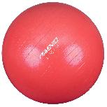 Gimnastikos kamuolys VLX 433418, rožinis, 55 cm