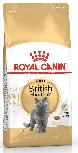 Sausas kačių maistas Royal Canin Adult British Shorthair, vištiena, 10 kg