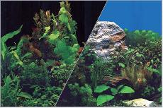 Akvariumo fonas Zolux Black Plants, įvairių spalvų, 40 cm