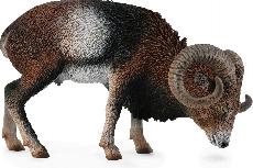 Žaislinė figūrėlė Collecta European Mouflon 88682, 8 cm