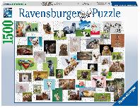 3D dėlionė Ravensburger Funny Animals Collage 1500