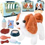 Interaktyvus žaislas Puppy With Transport Box And Accessories, 16 cm, universali