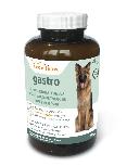 Maisto papildas šunims Canifelox Gastro Dog, 0.12 kg