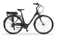 Elektrinis dviratis Ecobike Basic Greenway, 19", 28", 250 W, 8.7 Ah, juoda