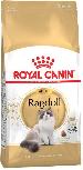 Sausas kačių maistas Royal Canin Ragdoll Adult, 2 kg