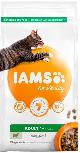 Sausas kačių maistas IAMS Vitality, ėriena, 2 kg