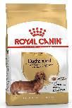 Sausas šunų maistas Royal Canin Dachshund, vištiena, 0.5 kg