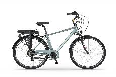 Elektrinis dviratis Ecobike Traffic Man LG, 19", 28", 250 W, 17.5 Ah, mėtinė