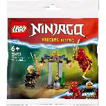 Konstruktorius LEGO® Ninjago Kai ir Raptono mūšis šventykloje & Turnyro mokomoji aikštelė 30650