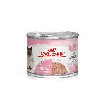 Šlapias kačių maistas Royal Canin Babycat, vištiena, 0.195 kg