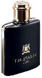 Tualetinis vanduo Trussardi Uomo 2011, 100 ml