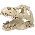 Dekoracija terariumui Repti Planet T-Rex Skull