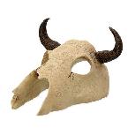 Dekoracija terariumui Repti Planet Buffalo Skull