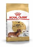 Sausas šunų maistas Royal Canin Dachshund, vištiena, 1,5 kg