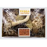 Dekoracija terariumui Terra Natura Decoration Kit