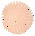 Žaislas šuniui Trixie TRX 09 Moonlight Hedgehog, Ø 10 cm