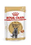 Šlapias kačių maistas Royal Canin British Shorthair Adult in Sauce, 0.085 kg