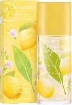 Tualetinis vanduo Elizabeth Arden Citron Freesia Green Tea, 100 ml