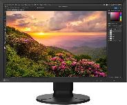 Monitorius Eizo CS2400S, 24.1", 20 ms