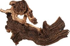 Akvariumo dekoracija Zolux Mopani Root Large, ruda