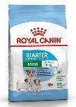 Sausas šunų maistas Royal Canin Mini Starter Starter Mother & Babydog Mini, paukštiena, 8 kg