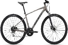 Dviratis kalnų Giant Roam 3 Disc, 28 ", XL rėmas, pilkas