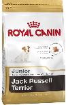 Sausas šunų maistas Royal Canin Jack Russell Junior, vištiena, 1.5 kg