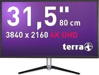 Monitorius Terra Computer 3290W, 31.5", 5 ms