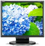 Monitorius NEC MS E172M, 17", 5 ms