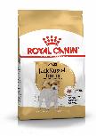 Sausas šunų maistas Royal Canin Jack Russel, vištiena, 1,5 kg