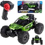 RC automobilis Storm Riders, 24 cm, 1:18, universali