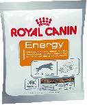 Maisto papildas šunims Royal Canin