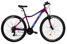 Dviratis kalnų DHS 2922, 29 ", 17'' rėmas, violetinis