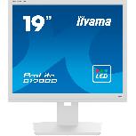 Monitorius Iiyama B1980D-W5, 19", 5 ms