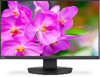 Monitorius NEC EA241F-BK, 24", 5 ms