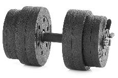 Svarmenų komplektas Gymstick Active Vinyl Dumbbell Set, 15 kg