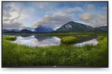 Televizorius Dell P5524Q, UHD/QNED/QLED, 55 "