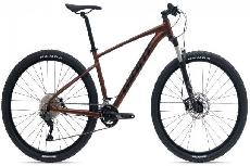 Dviratis kalnų Giant Talon 29 1­-GE 1 GE, 29 ", XL rėmas, rudas