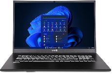 Nešiojamas kompiuteris Terra Mobile 1716U, Intel® Core™ i3-1215U, 8 GB, 500 GB, 17.3 ", Intel HD, pilka