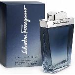 Tualetinis vanduo Salvatore Ferragamo Subtil Pour Homme, 100 ml