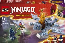 Konstruktorius LEGO® NINJAGO® Jaunasis drakoniukas Riyu 71810