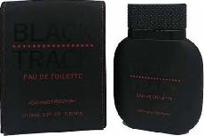 Tualetinis vanduo Georges Mezotti Black Track, 100 ml