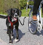 Pavadėlis Trixie Dog Biker, juodas