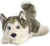 Pliušinis žaislas šuo Aurora Miyoni Husky, baltas/pilkas, 27 cm