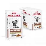 Šlapias kačių maistas Royal Canin Veterinary Diets Gastrointestinal, ryžiai, 1.020 kg, 12 vnt.