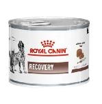 Šlapias šunų maistas Royal Canin Recovery, kiauliena, 0.19 kg