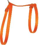 Petnešos Zolux Nylon 546132ORA x 10 mm, oranžinė